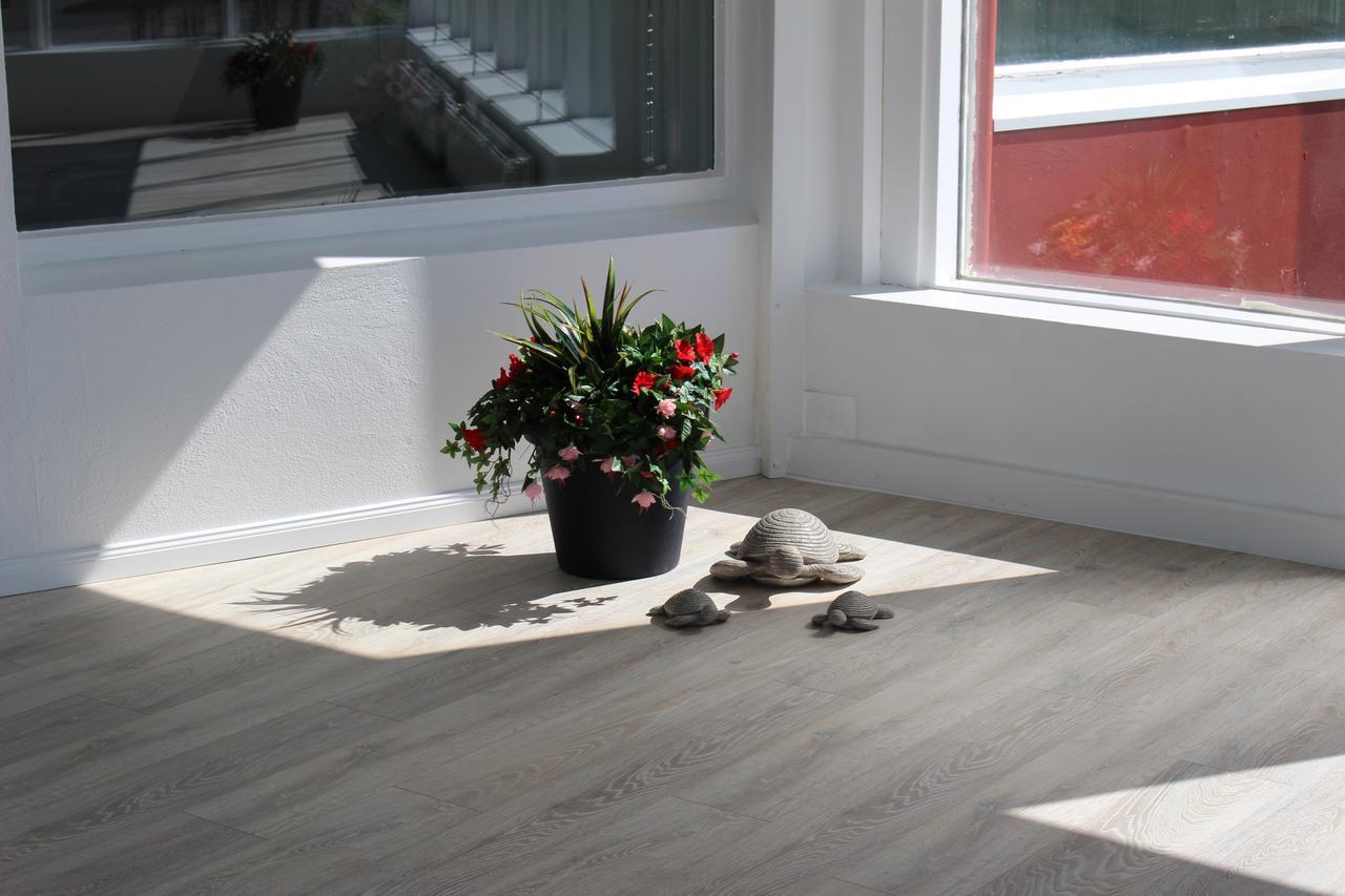 Ocean Beach Apartments Stokkseyri Εξωτερικό φωτογραφία